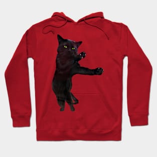 Dancing black cat Hoodie